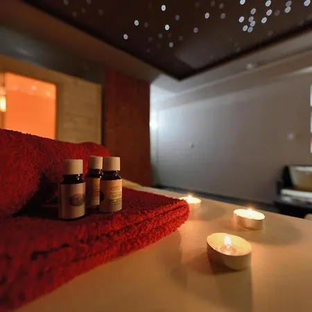 Bra I Premium With Outdoor Pool And Sauna Apartment Sukošan